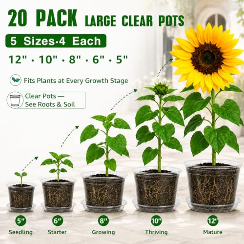 MIXC 12/10/8/6/5 Inch 20 Pack Clear Nursery Pots with Drainage & Sacuer - size: 12/10/8/6/5 IN*20 Pack