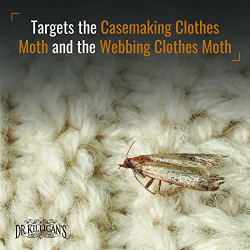 Dr. Killigan's Premium Clothing Moth Traps with Pheromones (Black, 6 Traps) - color: Black