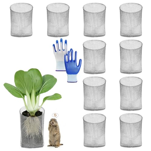 10 Pack Gopher Baskets 1 Gallon, Root Guard Gopher Proof Stainless Wire Steel Baskets, Plant Mesh Wire Baskets, Gopher Vole Proof Wire Cage for Garden Berries Vegetables Protection - size: 1 Gallon-10pack