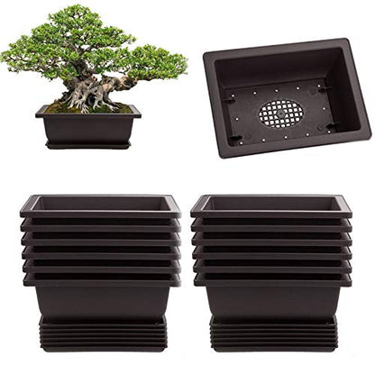 LANIAKEA 12 Pack Bonsai Pot with Trays 6.5 Inch Nursery Pots with Drainage Plastic Bonsai Training Pots for Home Furnishings Décor Flower Nursery Brown