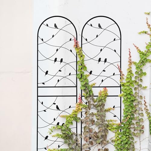 Garden Trellis for Climbing Plants Outdoor, 2-Pack 71" Metal Rustproof - color: Bird-2pacs-Black, size: 71×19.7"