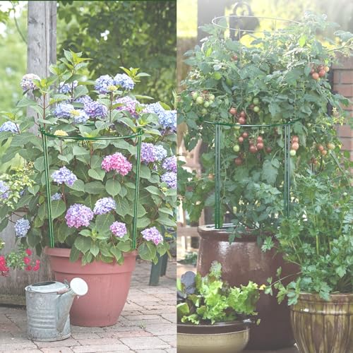 12 Pack 30 inch Plant Support Stakes, Heavy-Duty Half Round Peony Support, Garden Plant Stakes Cage for Outdoor Plants, Peony, Tomato, Hydrangea, (15ln Support +15ln Stainless Extension Tubes) - size: 30INCH-12PACK