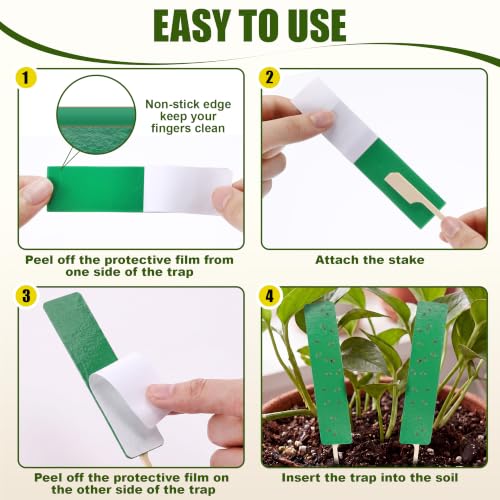 36 Pcs Green Sticky Traps for Plant Gnats, Fungus Gnat Trap (4" x 1") - color: Green