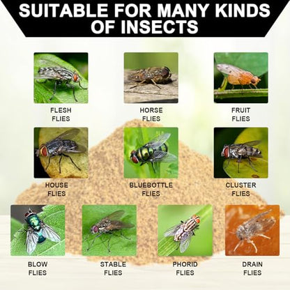 12 Pack Fly Bait, Fly Trap Refills Packet Work with All Reusable Flies Trap - size: 12 Pack