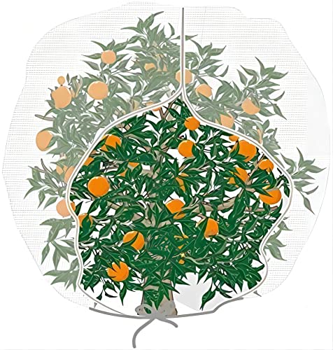 Agfabric Bird Netting 72" Hx72 W Garden Netting Insect Pest Barrier,Plant Cover Fruit Tree Netting Mesh Protection Bag with Zipper,White - size: 72"x72"
