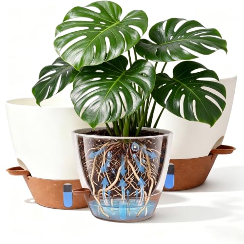 8/9/10 Inch Self Watering Pots, Plastic Flower Pots with Multi Mesh Drainage Holes and Water Level Indicator & Deep Reservoir for Indoor Outdoor Garden Plants and Flowers (White) - color: White