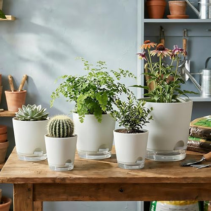 GARDIFE 2026 Upgraded Self Watering Plant Pots with Drainage Hole, 7/6.5/6/5.5/5/4 Inch Flower Planting Containers for House Plants, African Violet, Flowers, Cactus (White, 7+6.5+6+5.5+5+4 inch) - color: 7-white-upgraded, size: 7+6.5+6+5.5+5+4 inch