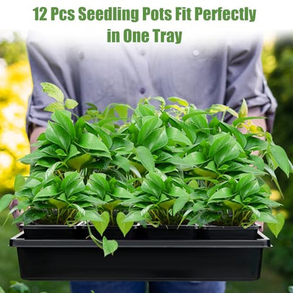 mwellewm 5 Pcs Seed Starter Tray, 3.5 Inch (9CM) 60 Pcs Nursery Pots Kit, Thickened Seed Starting Trays Square Seedling Pots for Plants Sturdy Microgreens Growing Trays Reusable Germination Tray - size: 3.5'' Pots-60pcs + 15.2" x 11" x 2.6" Trays-5Pcs