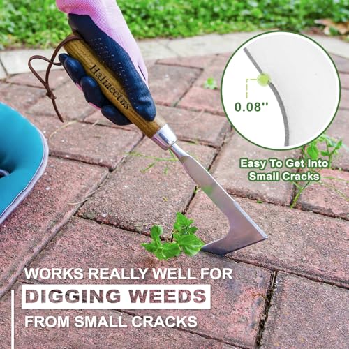Haliaeetus Crack Weeder Tool, L Shaped Stainless Steel Crevice Weeding Tool - size: 11'' Crack Weeder Tool