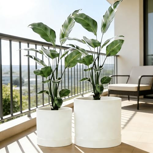GreenShip Planter Set of 2 (13.8" & 11.8") – Cylinder Planters with Drainage Hole and Planter Saucer, Jun Porcelain Clay & Recycled Resin, Decorate Home,Office & Outdoor,White pots - color: White, size: 13.7in+11.8in