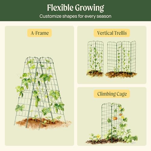 Vego Garden A-Frame Trellis Cucumber Cage for Garden & Pots, Rust-Resistant Tomato Stakes Heavy Gauge Plant Cage Trellis Support for Climbing Vegetables Plants 2 Pack - size: 63" Tall