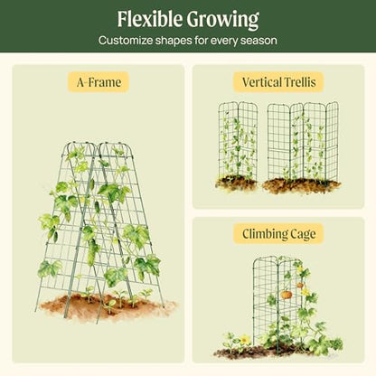 Vego Garden A-Frame Trellis Cucumber Cage for Garden & Pots, Rust-Resistant Tomato Stakes Heavy Gauge Plant Cage Trellis Support for Climbing Vegetables Plants 2 Pack - size: 63" Tall