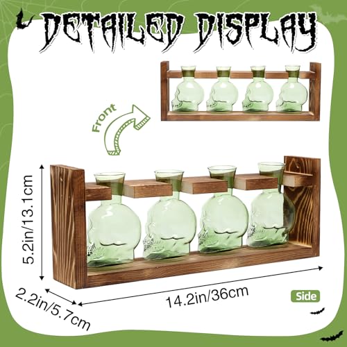 Plant Propagation Stations Halloween Skull Plant Terrarium Kit - color: Green