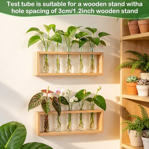 Test Tubes for Plants 16 Pack 20ml Acrylic Tubes