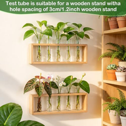 Test Tubes for Plants 16 Pack 20ml Acrylic Tubes