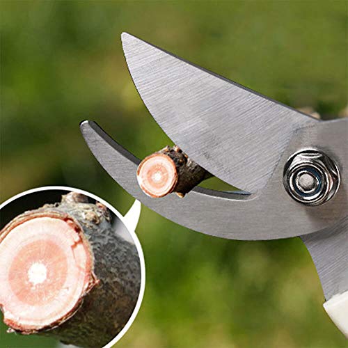BUGUI Garden Shears Set of 2, Includes 1 Bypass Pruning Shears and 1 Straight Blade Garden Scissors, Sharp, Lightweight - style: Straight+Bypass