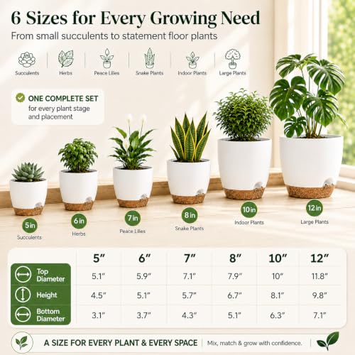 6 Size Self Watering Pots for Indoor Plants, Flower Plant Pot, White - color: White