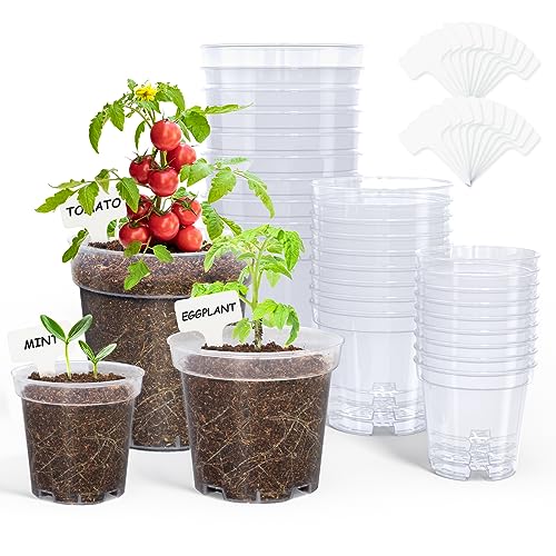 homenote 3/4/5 Inch Clear Nursery Pots with Drainage and 20 Labels (30 Pcs) - color: Transparency-no Lid, size: 3/4/5 Inch-30 Pack