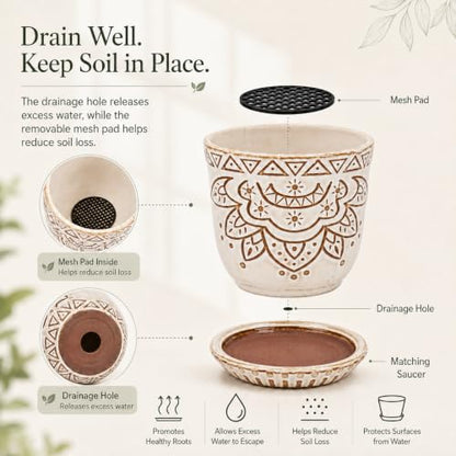 Gepege Ceramic Succulent Pots, 4 Inch Small Plant Pots with Drainage - color: Cream White, size: 4 Inch - Set of 4