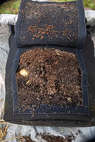 Gardzen 6 Pack BPA-Free 10 Gallon Vegetable Grow Bags