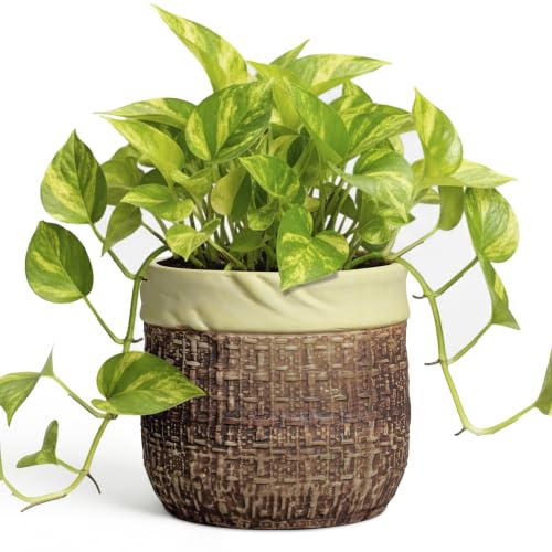 6 Inch Plant Pot - Ceramic Pots for Plants with Drainage Hole and Plug, Unique Plant Pots for Indoor Outdoor Plants, Round Planter, Room Home Decor, Gifts for Plant Lovers, Brown - color: Brown, size: 6 Inch