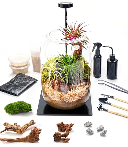 LuckyRunes Premium Terrarium Kit with Live Moss, 24-Piece Glass Set - size: Round Set