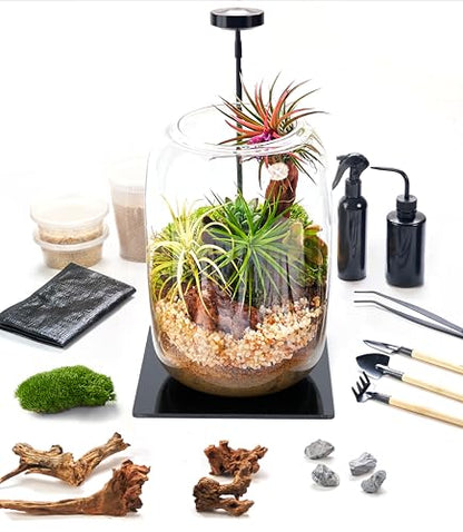 LuckyRunes Premium Terrarium Kit with Live Moss, 24-Piece Glass Set - size: Round Set