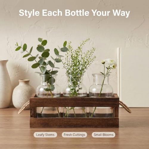 Plant Propagation Station, 3-Pc Wooden Desk Plant Stand with Glass Vases