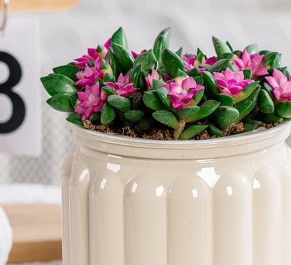 2PCS Self Watering Planters 4.5 Inch Self Watering Pots for Indoor Plants, African Violet Pots with Wick Rope, Flowers, Succulents, Herb, House Plants - color: Beige