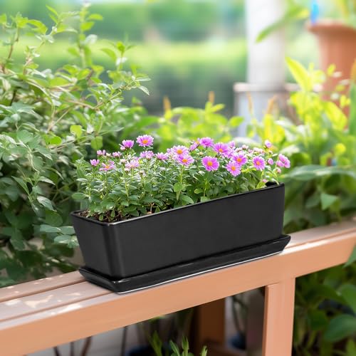 SQOWL Rectangle Planter - 10 Inch Ceramic Plant Pots with Drainage Hole and Saucer, Rectangular Succulent Planters for Indoor Plants, Flower Cactus Herb Pots Outdoor, Room Decor, Garden Gifts, Black