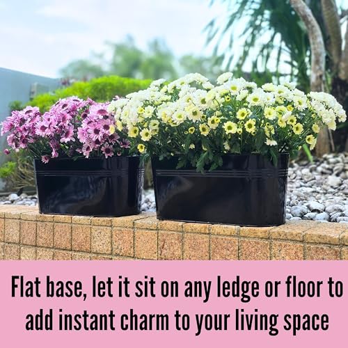 LaLaGreen Boho Rail Planter (16 in, 6 Pack) Black Metal Hanging Large Pot - size: 16" (41cm) x 6 Pack