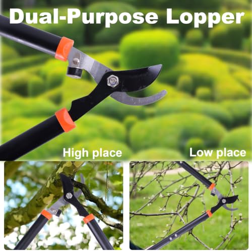 Bypass Loppers for Tree Trimming