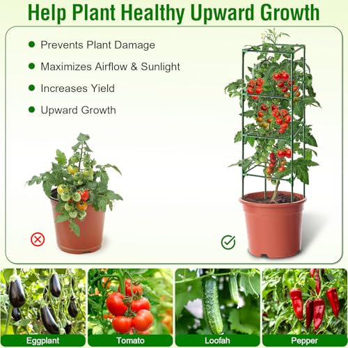 Fabulas Tomato Cage, Square Tomato Trellis Plant Support Stake Cages for Garden and Pots Tall Up to 63 Inch Adjustable Cucumber Trellis for Raised Bed Outdoor Climbing Plants Vegetables Flower, 3 Pack