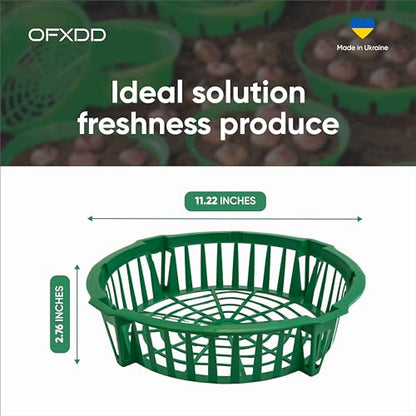 Plant Trays 12 Pcs - Plastic Trays for Bulb Planting - Seedling Trays - Planting Basket for Onion, Flower Bulbs