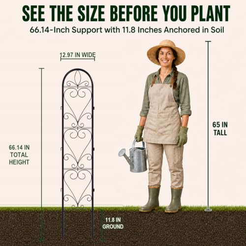 4 Pack Q195 Metal Garden Trellis for Climbing Plants, 66 x 13in - color: black-4pc