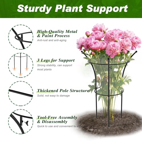 4 Pack Peony Cages and Supports, 12.5"Dx24"H Dual-Ring Metal Plant Supports - color: Black-Metal-4PC