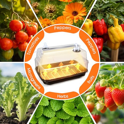Seed Starter Tray with Grow Light and Heated Base for Faster Germination