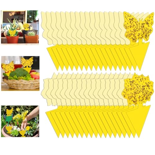 Yellow Sticky Fruit Fly Trap 54 Pack, Gnat Traps for Indoor House Plants - size: 54 Packs
