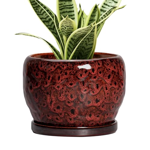 SQOWL Ceramic Pot for Plants - 6 Inch Plant Pot Indoor with Drainage Hole and Saucer, Decorative Flower Pot Outdoor, Round Succulent Planter, Front Porch Decor, House Warming Gifts New Home, Red - color: Leopard Red, size: 6 Inch