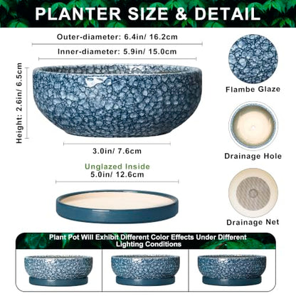 Ceramic Succulent Pots, 6 Inch Bonsai Tree Pot with Tray, Scale Blue - color: Scale Blue, size: 6 Inch