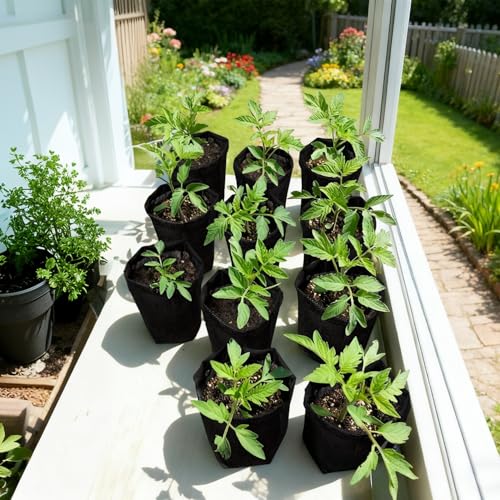 Belit 1.5 Gallon Plant Nursery Bags, 50 Pcs Non-Woven Grow Bags for Vegetable, Flower, Starting saplings - size: 1.5 Gallon /50Pcs