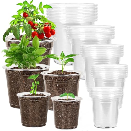 JNYONG 30 Pack 3.5/4/5/6/7 Inch Clear Nursery Pots with Drainage Hole - size: 3.5/4/5/6/7 Inch 30 pack