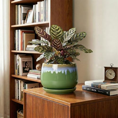 Ceramic Flower Pots, 7 Inch Indoor Plant Pot, Green-Blue - size: 7 Inch, style: Green-blue