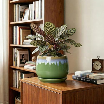 Ceramic Flower Pots, 7 Inch Indoor Plant Pot, Green-Blue - size: 7 Inch, style: Green-blue