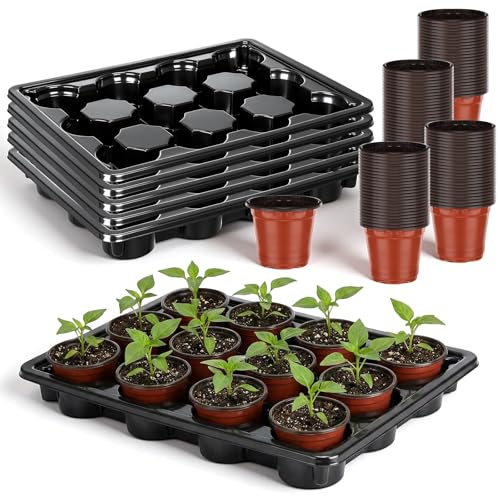 Lounsweer 6 Sets 4 Inch Plant Nursery Pots 72 Pcs and 12 Cell Plant Seed Starter Trays 6 Pcs, Sturdy Seeds Starting Germination Shuttle Carrying Trays, Small Planter Nursery Propagation(Brick Red) - color: Brick Red