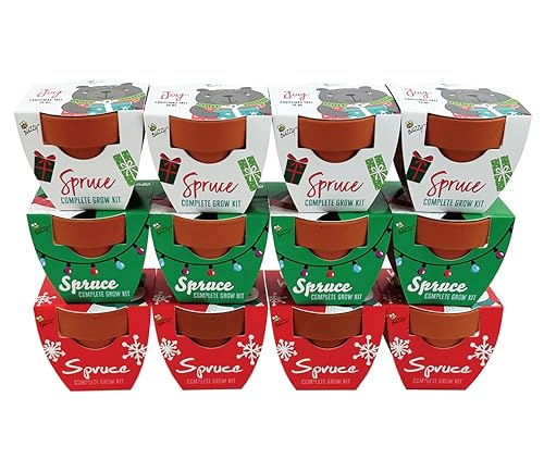 BUZZY Seeds Holiday Spruce Grow Kit 12-Pack, Terracotta Pots, Tree Gift - color: 12pk Holiday Spruce