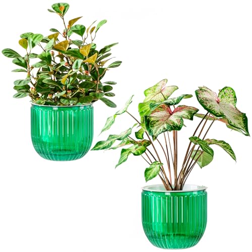 Melphoe Self Watering Pots for Indoor Plants Planter, 6.5 Inch 2 Pack Planters Self Watering Plant Pots for Flower, Houseplants, Succulent, African Violets and Cactus with Drainage - color: Emerald, size: 6.5''