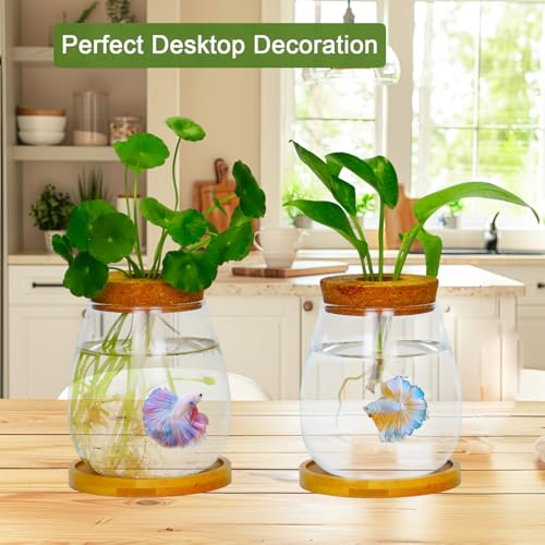 Desktop Plants Terrarium Propagation Station Hydroponic Planters Retro Oval Glass Vase with Lid and Stand Home Office Decoration Gifts 2 Pack
