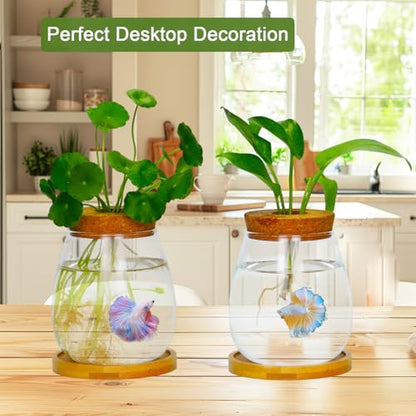 Desktop Plants Terrarium Propagation Station Hydroponic Planters Retro Oval Glass Vase with Lid and Stand Home Office Decoration Gifts 2 Pack