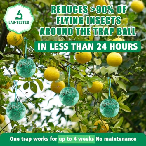 6pcs Sticky Insect Trap Ball Osseph Fruit Fly Trap Balls for Indoor Outdoor - color: Green